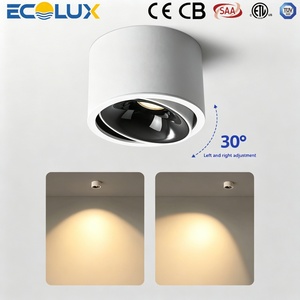 CE ETL SAA Architectural Cylinder LED Ceiling Spot Light
