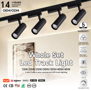 Custom Modern Commercial COB LED Track Lights